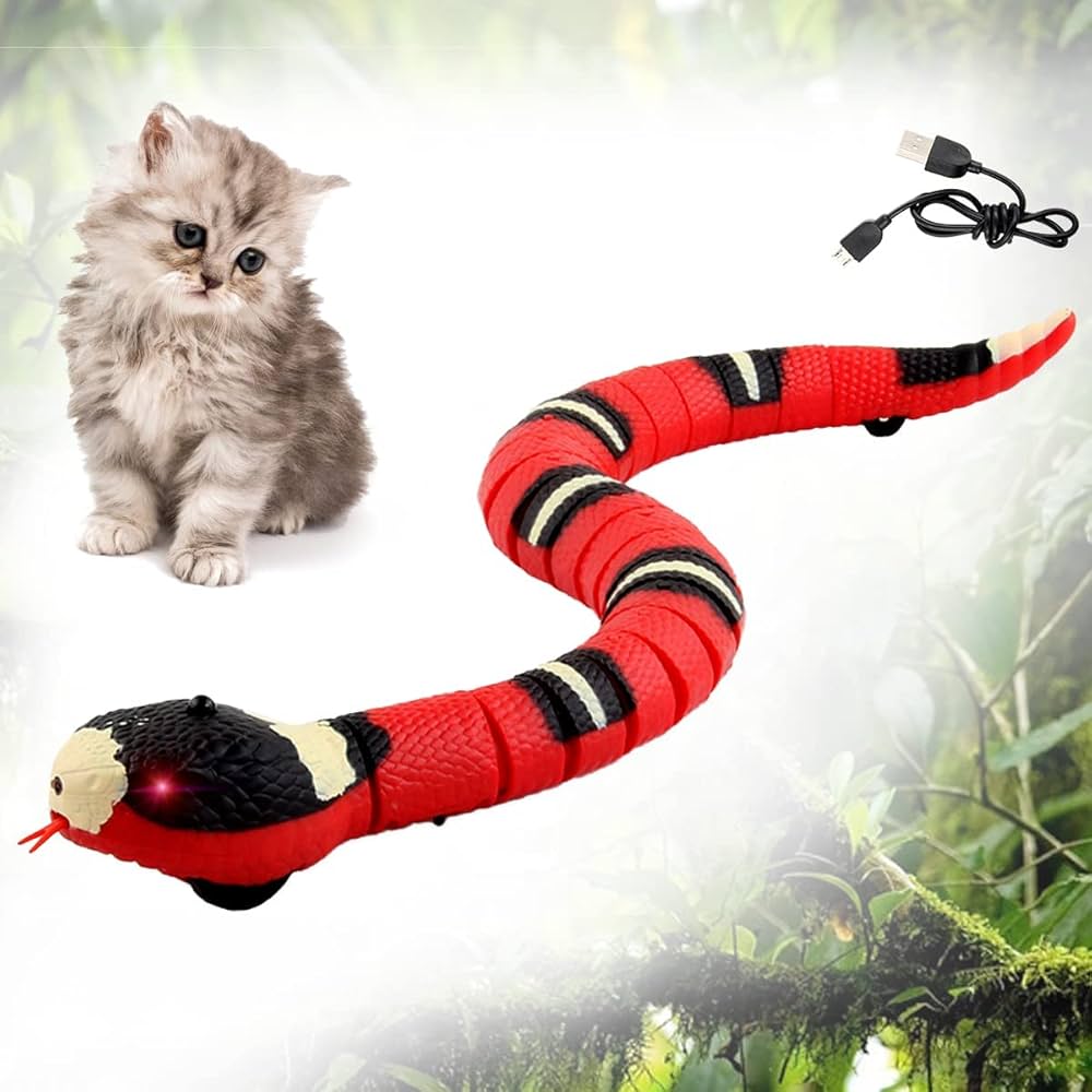 foto p 2.jpg__PID:09c4bb30-71e9-41cf-9aea-199133529a6a